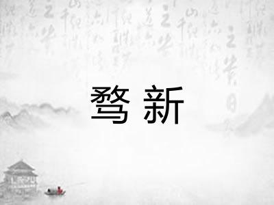 骛新 骛新