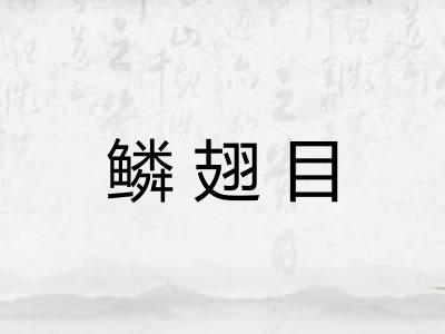 鳞翅目 鳞翅目