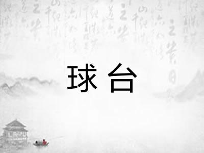 球台 球台