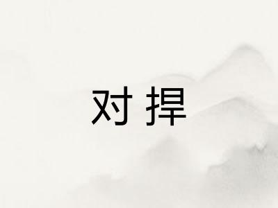 对捍 对捍