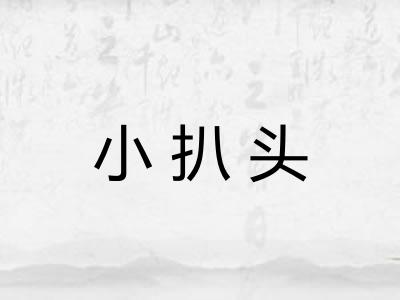 小扒头 小扒头