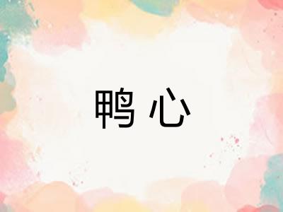 鸭心