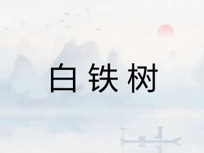 白铁树
