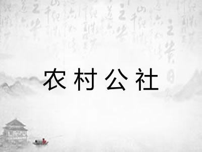 农村公社 农村公社