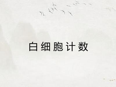 白细胞计数 白细胞计数