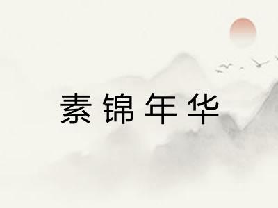 素锦年华 素锦年华