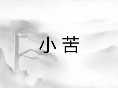 小苦 小苦