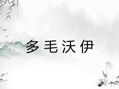 多毛沃伊 多毛沃伊