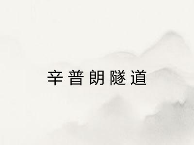 辛普朗隧道 辛普朗隧道