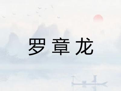 罗章龙 罗章龙