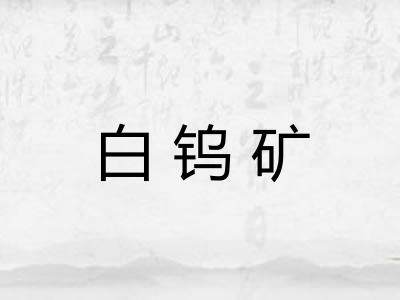 白钨矿 白钨矿
