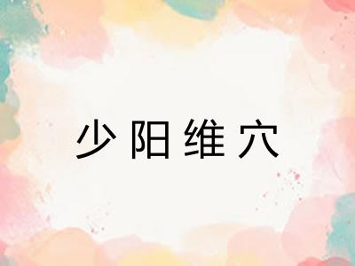 少阳维穴 少阳维穴