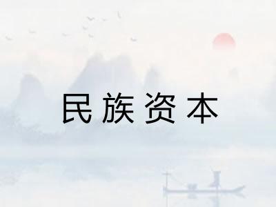 民族资本 民族资本