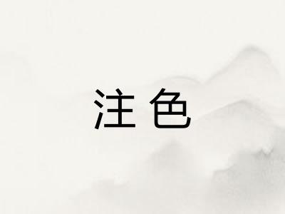 注色