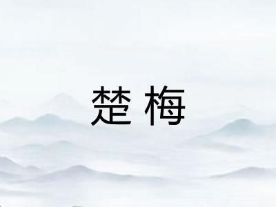 楚梅 楚梅