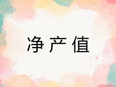 净产值
