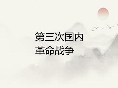 第三次国内革命战争 第三次国内革命战争