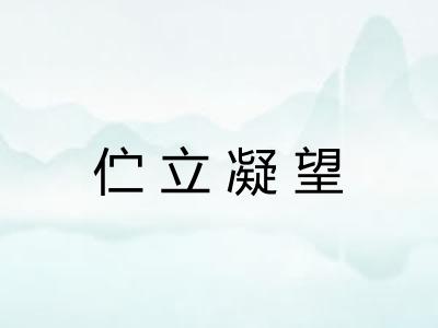 伫立凝望 伫立凝望