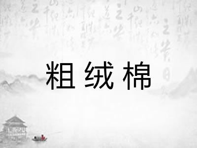 粗绒棉 粗绒棉