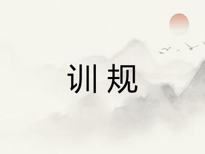 训规 训规