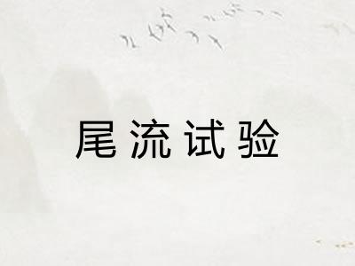 尾流试验 尾流试验
