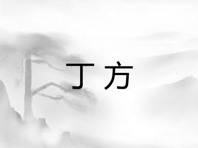 丁方