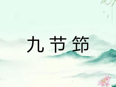 九节笻 九节笻