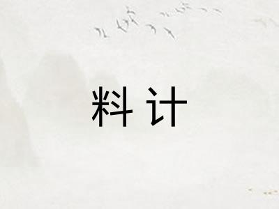 料计