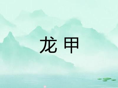龙甲 龙甲