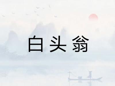白头翁 白头翁