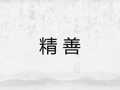 精善 精善