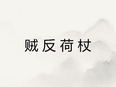 贼反荷杖 贼反荷杖