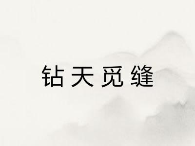 钻天觅缝 钻天觅缝