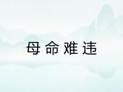 母命难违 母命难违