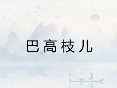 巴高枝儿 巴高枝儿