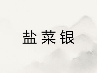 盐菜银 盐菜银