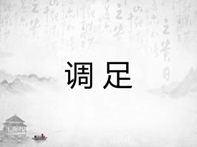 调足 调足