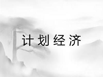 计划经济 计划经济