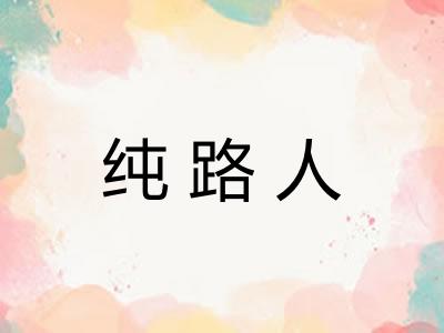 纯路人