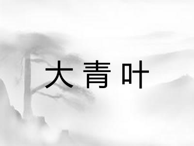 大青叶