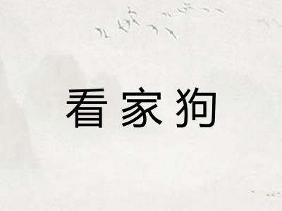 看家狗 看家狗
