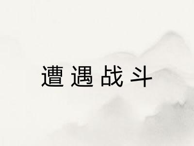 遭遇战斗 遭遇战斗