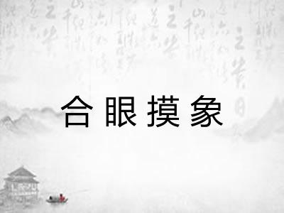 合眼摸象 合眼摸象