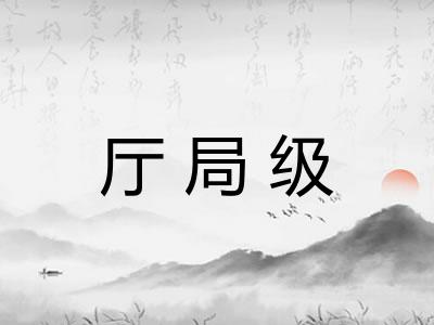 厅局级 厅局级