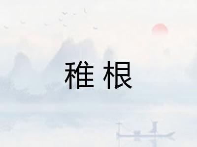 稚根