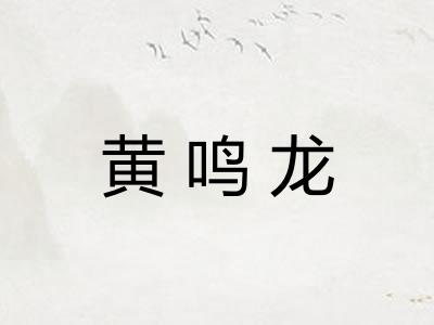 黄鸣龙 黄鸣龙