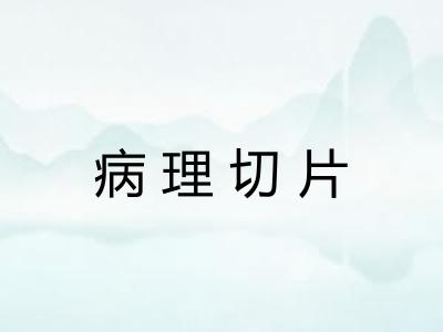病理切片 病理切片