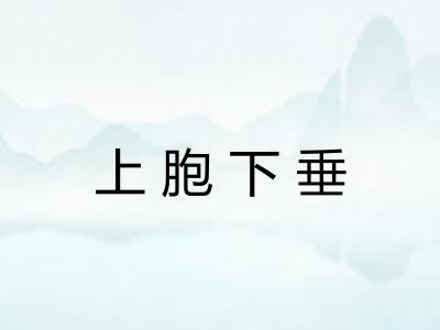 上胞下垂 上胞下垂