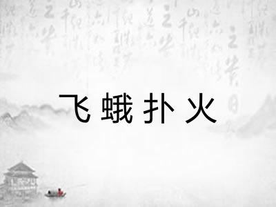 飞蛾扑火 飞蛾扑火