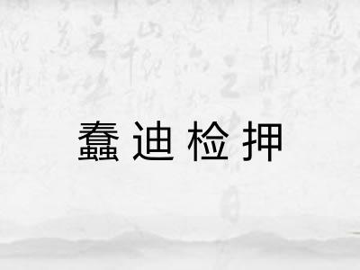 蠢迪检押 蠢迪检押